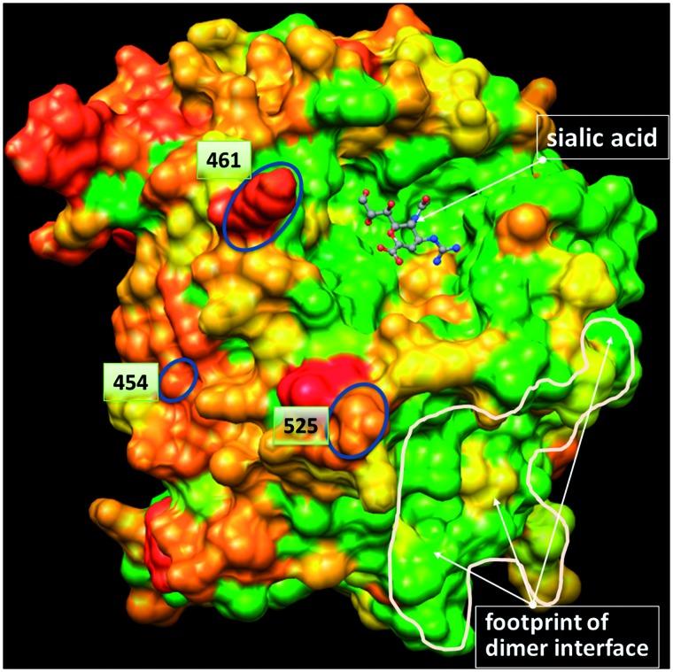 https://cdn.ncbi.nlm.nih.gov/pmc/blobs/45a6/4989884/6d273016930e/vew008f8p.jpg