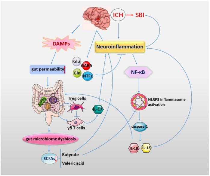 https://cdn.ncbi.nlm.nih.gov/pmc/blobs/45a7/9788242/e942d2864d4b/nutrients-14-05251-g002.jpg