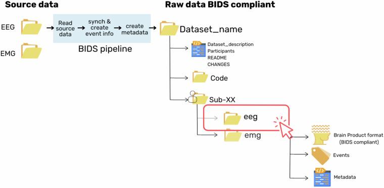 https://cdn.ncbi.nlm.nih.gov/pmc/blobs/45aa/12092770/69d6f4d872fd/41597_2025_5042_Fig10_HTML.jpg