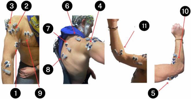 https://cdn.ncbi.nlm.nih.gov/pmc/blobs/45aa/12092770/a4bc04b066d2/41597_2025_5042_Fig5_HTML.jpg