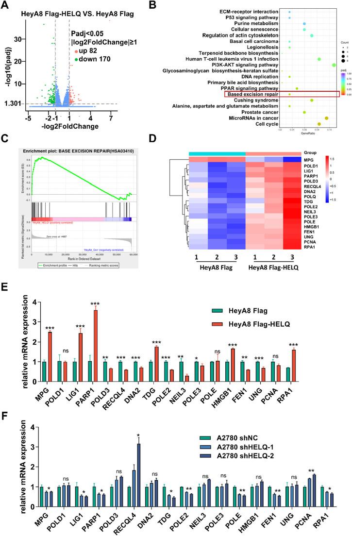 https://cdn.ncbi.nlm.nih.gov/pmc/blobs/45ab/12143799/0ea5965b8b17/gr3.jpg