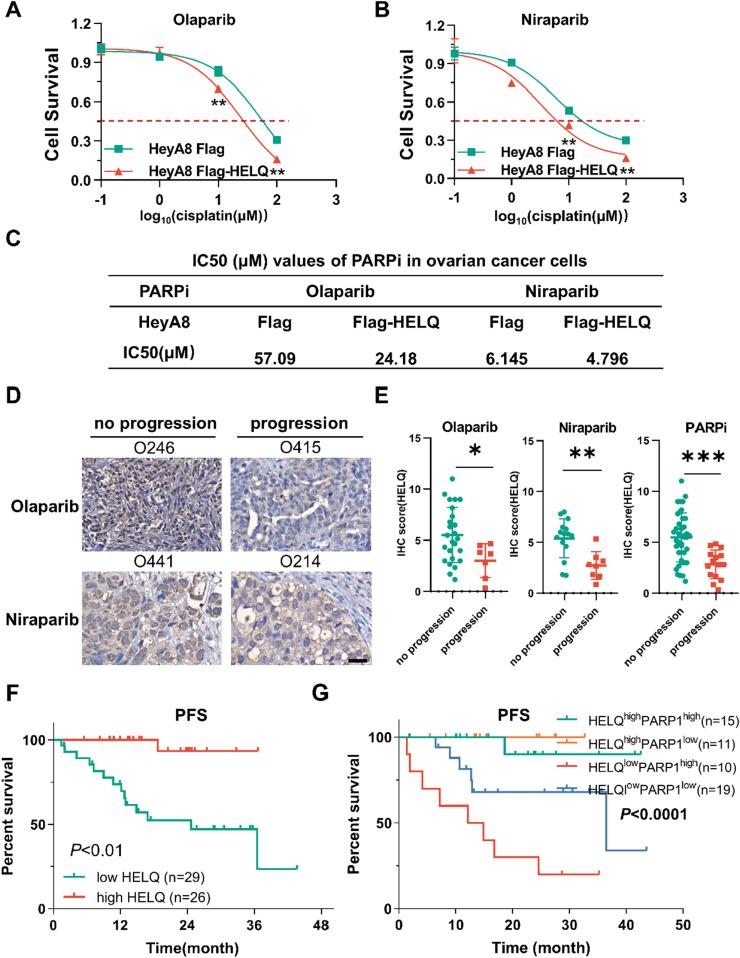 https://cdn.ncbi.nlm.nih.gov/pmc/blobs/45ab/12143799/3531460546a7/gr5.jpg