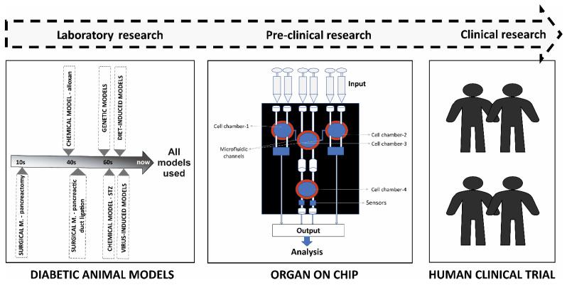 https://cdn.ncbi.nlm.nih.gov/pmc/blobs/45ae/10603837/69e08e3fb872/biomedicines-11-02852-g001.jpg