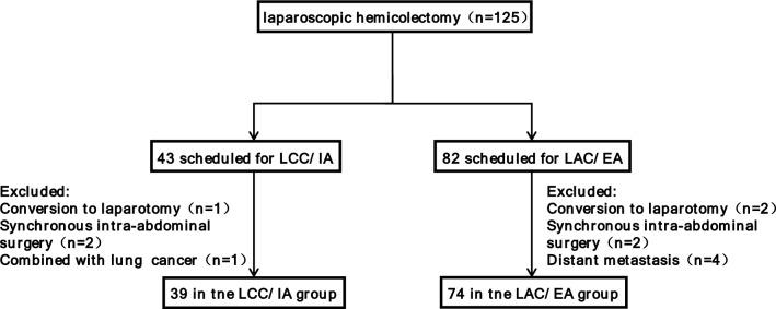 https://cdn.ncbi.nlm.nih.gov/pmc/blobs/45b1/11541367/5d75424d80ee/13304_2024_1876_Fig1_HTML.jpg