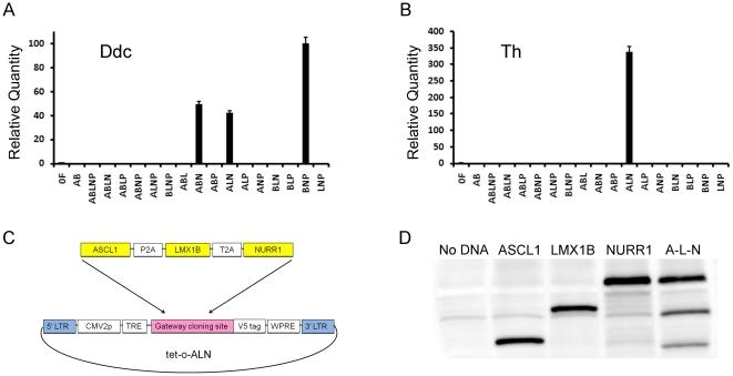 https://cdn.ncbi.nlm.nih.gov/pmc/blobs/45b2/3235158/1521ec08daa9/pone.0028719.g001.jpg