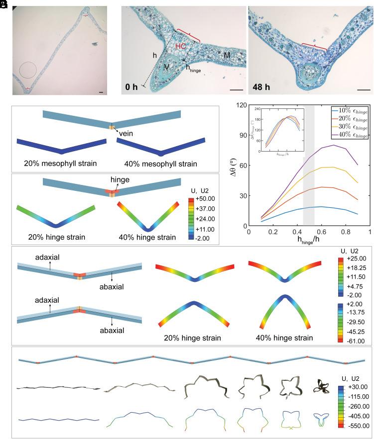 https://cdn.ncbi.nlm.nih.gov/pmc/blobs/45b3/11047117/5b222c865f12/pnas.2320259121fig04.jpg
