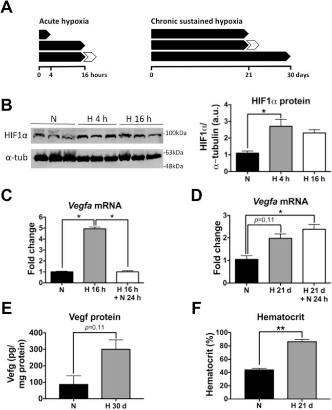 https://cdn.ncbi.nlm.nih.gov/pmc/blobs/45b3/5528254/70771b683946/pone.0181510.g001.jpg