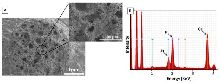 https://cdn.ncbi.nlm.nih.gov/pmc/blobs/45b3/8747647/c670af25a84f/polymers-14-00012-g001.jpg