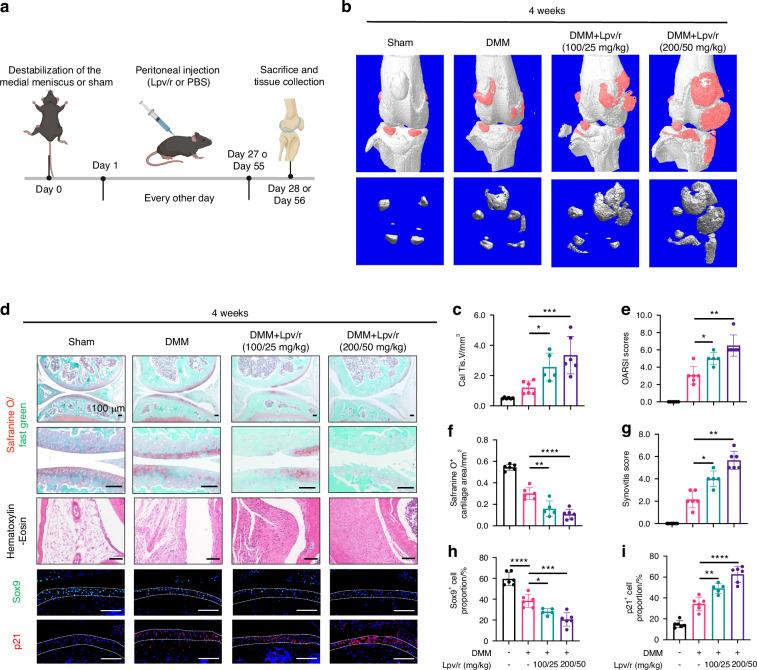 https://cdn.ncbi.nlm.nih.gov/pmc/blobs/45b5/12134061/3e27798ea74b/41413_2025_431_Fig2_HTML.jpg