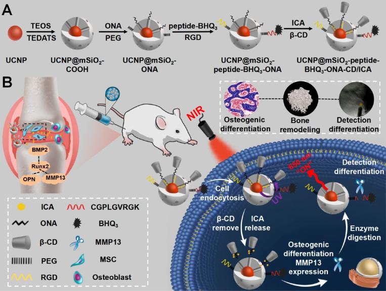 https://cdn.ncbi.nlm.nih.gov/pmc/blobs/45b5/12186752/d39058fb20a8/IJN-20-7869-g0002.jpg