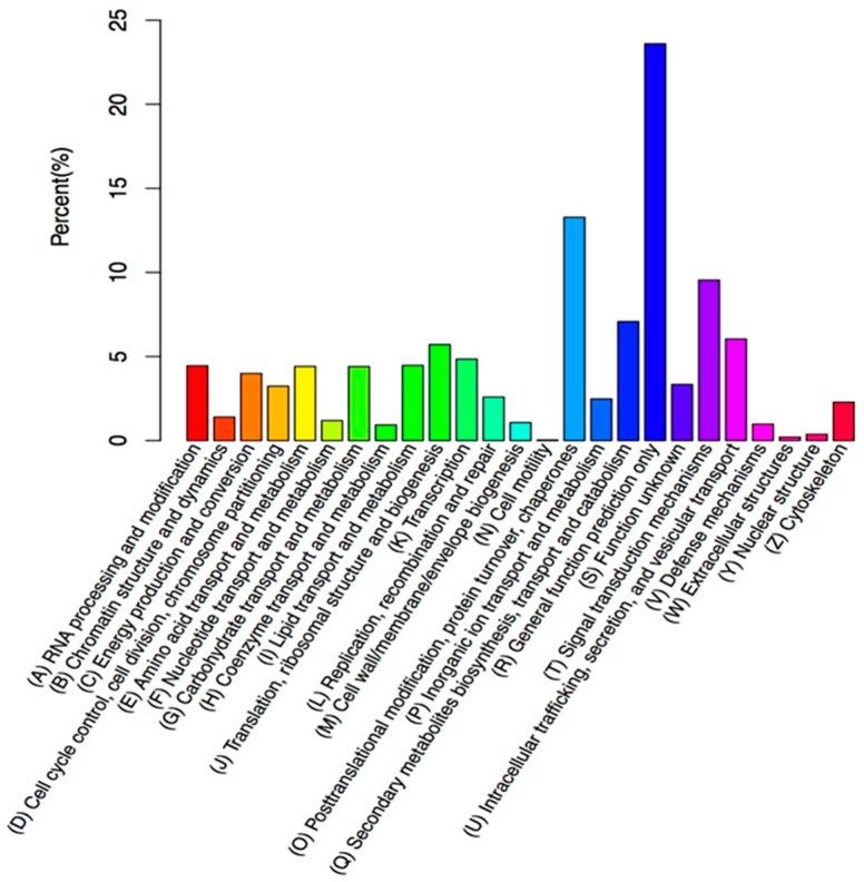 https://cdn.ncbi.nlm.nih.gov/pmc/blobs/45b5/6017539/afa5057c244a/molecules-23-00706-g005.jpg
