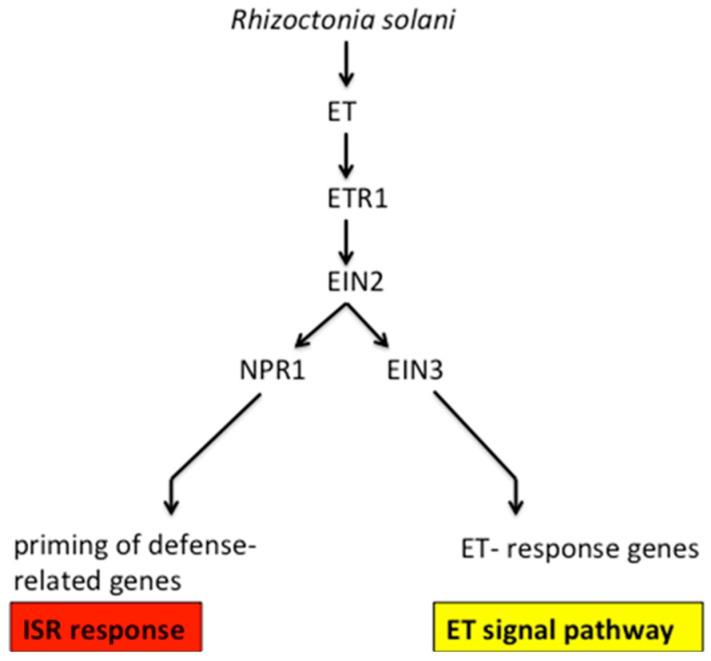 https://cdn.ncbi.nlm.nih.gov/pmc/blobs/45b5/6017539/cb2392d7a186/molecules-23-00706-g010.jpg