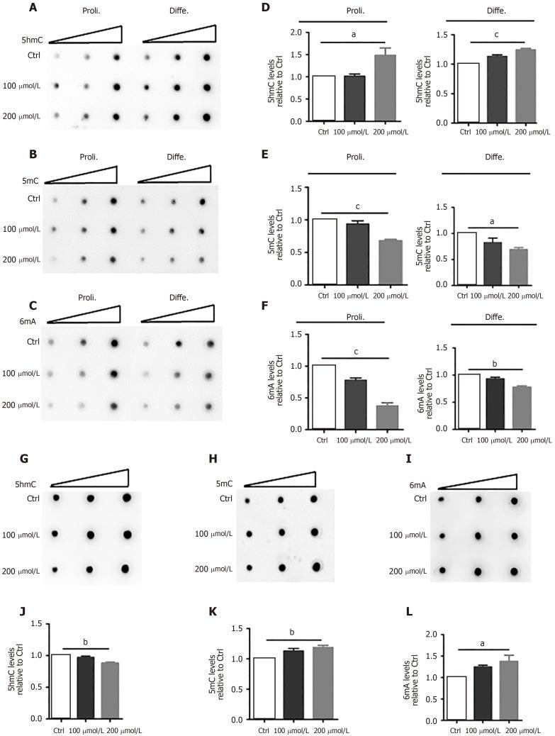 https://cdn.ncbi.nlm.nih.gov/pmc/blobs/45b5/7705460/36a18be643df/WJSC-12-1354-g003.jpg