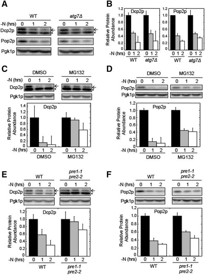 https://cdn.ncbi.nlm.nih.gov/pmc/blobs/45b6/4408797/36dbf6a361db/898F03.jpg