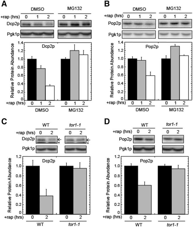 https://cdn.ncbi.nlm.nih.gov/pmc/blobs/45b6/4408797/3cae20c49837/898F05.jpg