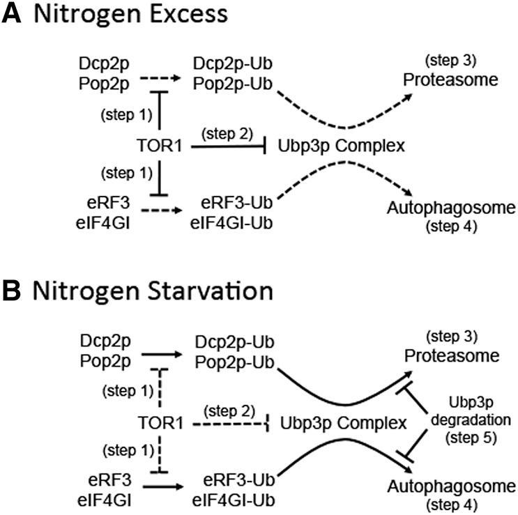 https://cdn.ncbi.nlm.nih.gov/pmc/blobs/45b6/4408797/5ef8e2d5c0ec/898F08.jpg