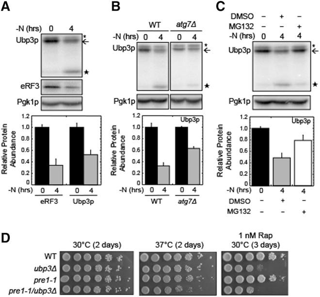 https://cdn.ncbi.nlm.nih.gov/pmc/blobs/45b6/4408797/86c5eca2938b/898F06.jpg