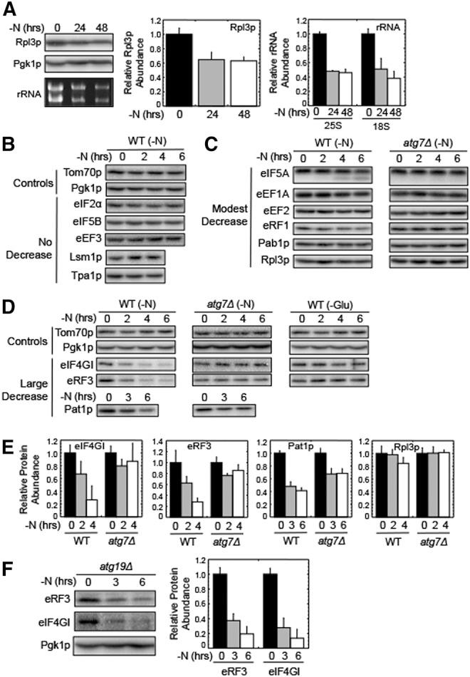 https://cdn.ncbi.nlm.nih.gov/pmc/blobs/45b6/4408797/d619059ddfaa/898F01.jpg