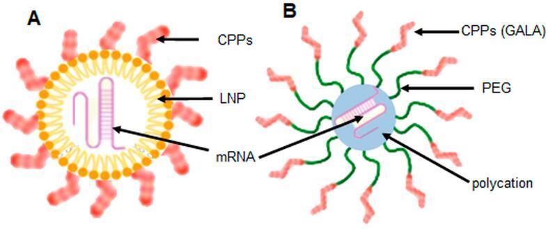 https://cdn.ncbi.nlm.nih.gov/pmc/blobs/45b7/11170481/198c3ca9a8f7/gr3.jpg