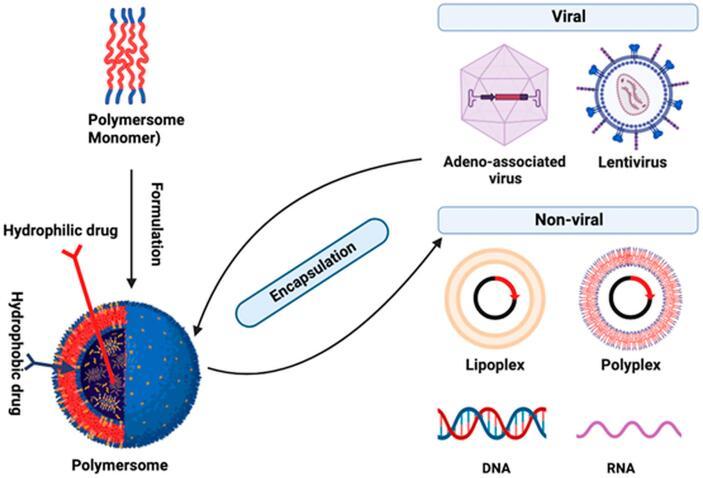 https://cdn.ncbi.nlm.nih.gov/pmc/blobs/45b7/11170481/f2ffa6c4d587/gr2.jpg
