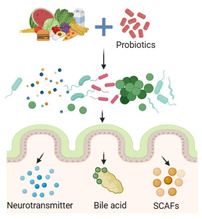 https://cdn.ncbi.nlm.nih.gov/pmc/blobs/45b9/10778471/62e014a70a32/foods-13-00151-g003.jpg