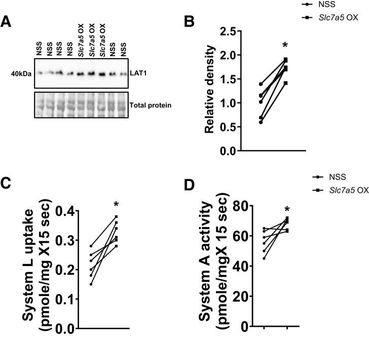 https://cdn.ncbi.nlm.nih.gov/pmc/blobs/45b9/11184900/396838710e68/pgae207f3.jpg