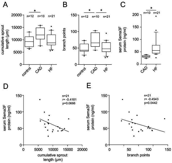 https://cdn.ncbi.nlm.nih.gov/pmc/blobs/45ba/12267994/779eee721e4b/gr3.jpg