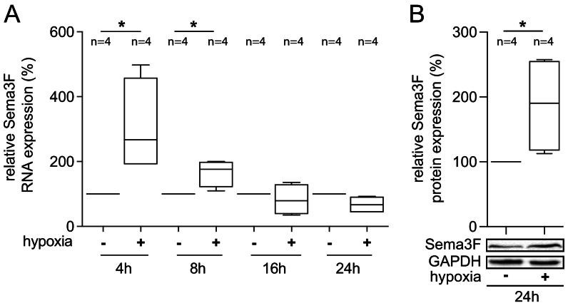 https://cdn.ncbi.nlm.nih.gov/pmc/blobs/45ba/12267994/ba33110ebc1e/gr2.jpg