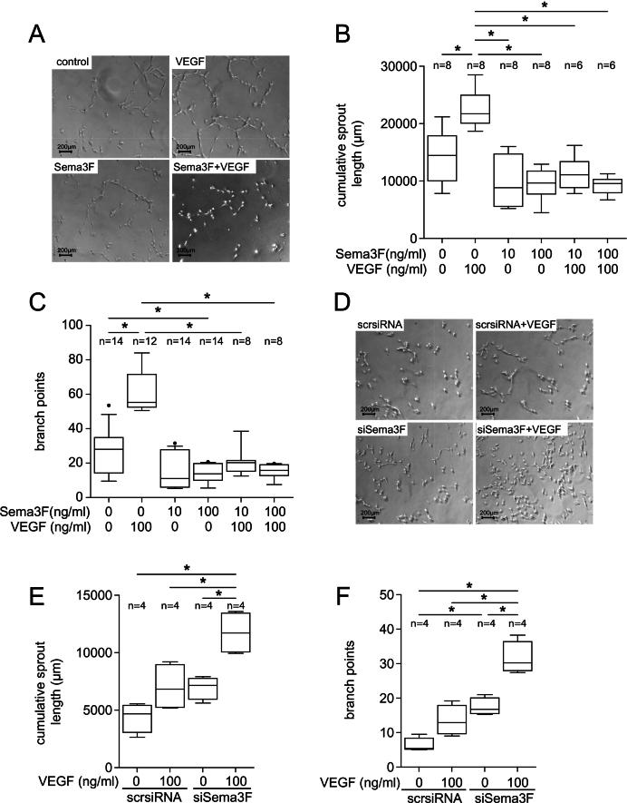 https://cdn.ncbi.nlm.nih.gov/pmc/blobs/45ba/12267994/d4ee619efe54/gr4.jpg