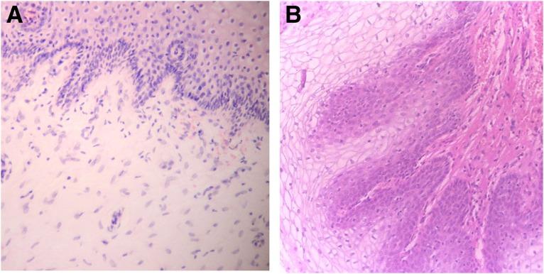 https://cdn.ncbi.nlm.nih.gov/pmc/blobs/45bd/6648197/87144d1e10f1/fig-6.jpg