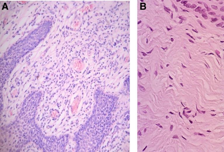 https://cdn.ncbi.nlm.nih.gov/pmc/blobs/45bd/6648197/e602a174d136/fig-5.jpg
