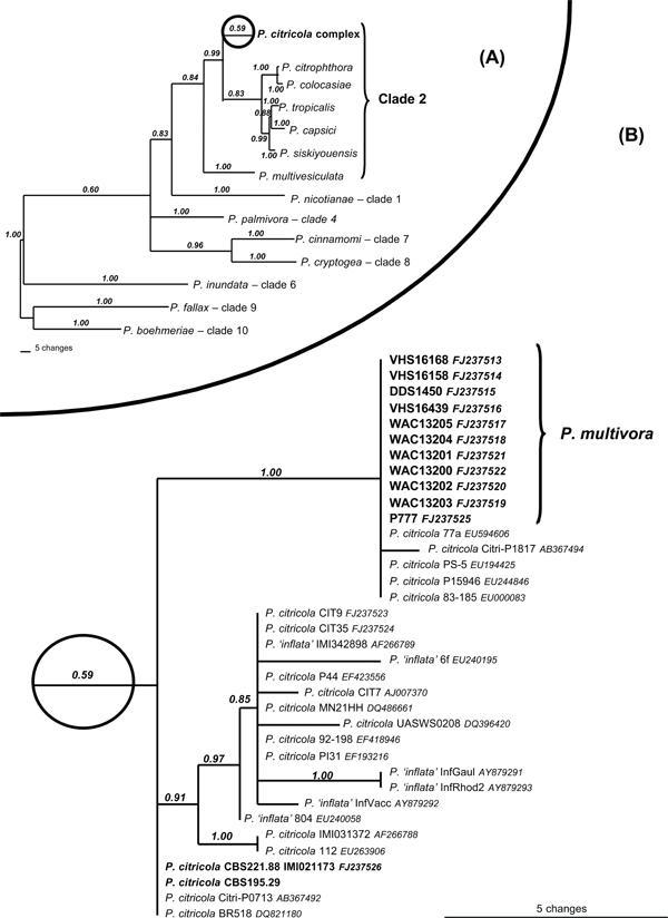 https://cdn.ncbi.nlm.nih.gov/pmc/blobs/45bf/2789538/12ef81204c48/per-22-1-g002.jpg
