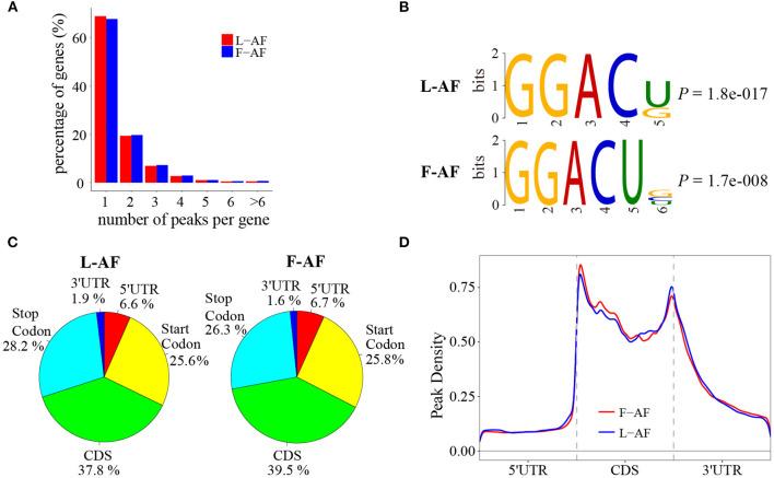 https://cdn.ncbi.nlm.nih.gov/pmc/blobs/45bf/7892974/6beb6faf2f84/fcell-09-590468-g0001.jpg