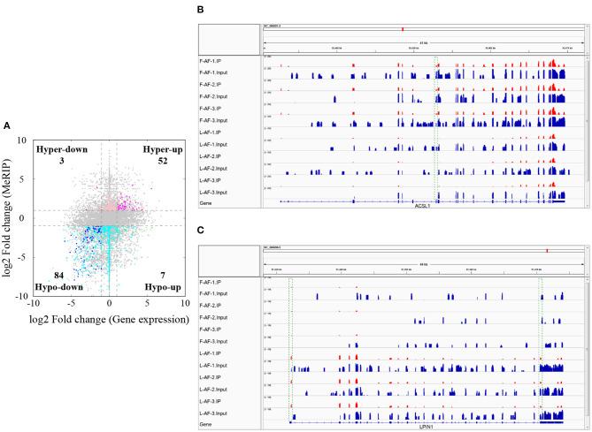 https://cdn.ncbi.nlm.nih.gov/pmc/blobs/45bf/7892974/cc074af5e838/fcell-09-590468-g0006.jpg