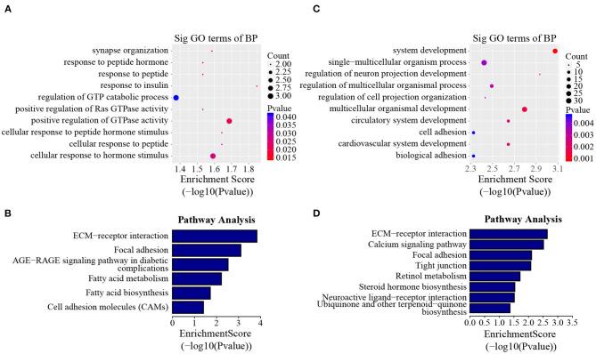 https://cdn.ncbi.nlm.nih.gov/pmc/blobs/45bf/7892974/fc5e399a832d/fcell-09-590468-g0005.jpg