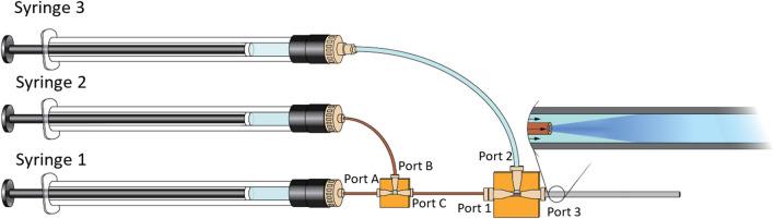 https://cdn.ncbi.nlm.nih.gov/pmc/blobs/45c1/10879229/34f3bb7bbee3/11095_2024_3665_Fig1_HTML.jpg