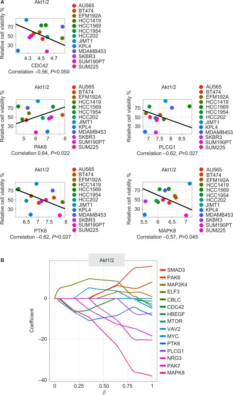 https://cdn.ncbi.nlm.nih.gov/pmc/blobs/45c1/5367762/a43f0f77735a/bctt-9-185Fig5.jpg