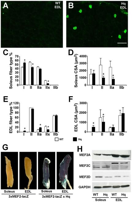 https://cdn.ncbi.nlm.nih.gov/pmc/blobs/45c2/3208607/53cbe4015886/pone.0027283.g003.jpg