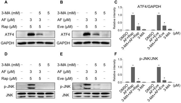 https://cdn.ncbi.nlm.nih.gov/pmc/blobs/45c3/7977446/090c29bdc32e/thnov11p4335g009.jpg