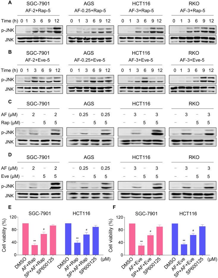 https://cdn.ncbi.nlm.nih.gov/pmc/blobs/45c3/7977446/22d65d315186/thnov11p4335g006.jpg