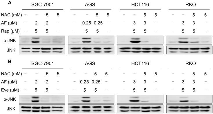 https://cdn.ncbi.nlm.nih.gov/pmc/blobs/45c3/7977446/945a372480bd/thnov11p4335g007.jpg