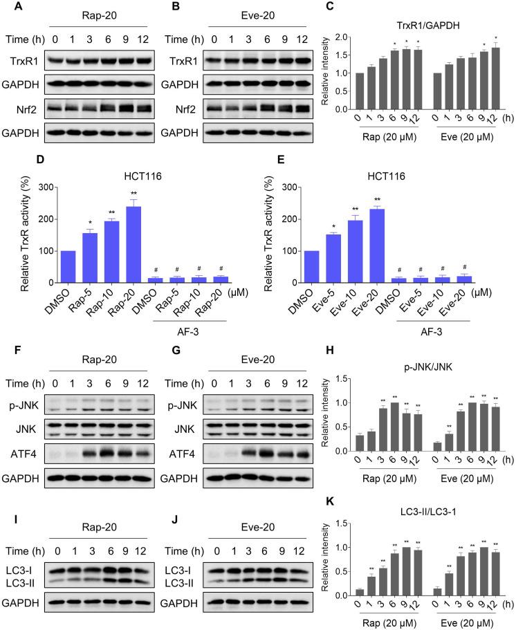 https://cdn.ncbi.nlm.nih.gov/pmc/blobs/45c3/7977446/d9607f727691/thnov11p4335g010.jpg