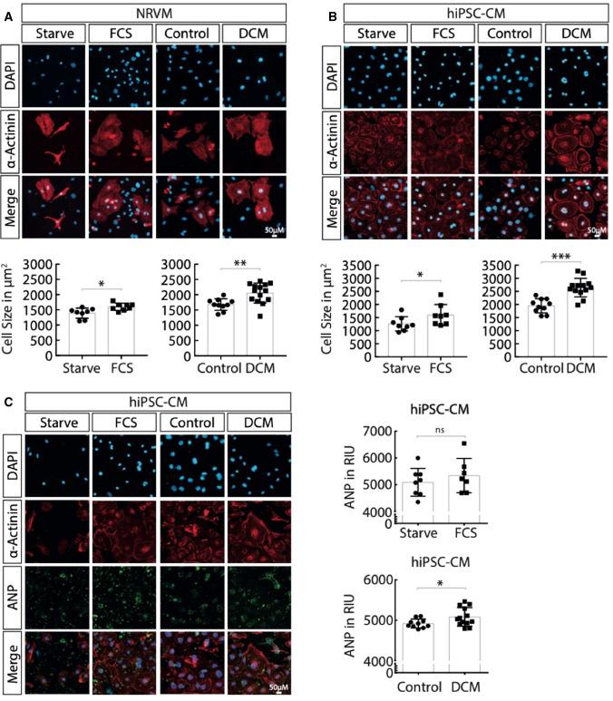 https://cdn.ncbi.nlm.nih.gov/pmc/blobs/45c4/10027651/c4f7ef485ccd/395_2022_954_Fig2_HTML.jpg