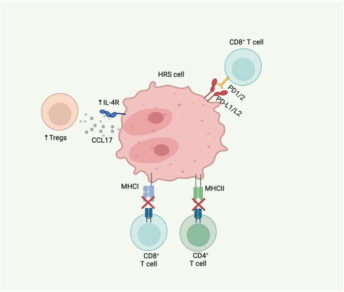 https://cdn.ncbi.nlm.nih.gov/pmc/blobs/45c4/12078164/031791b63c5b/fonc-15-1515250-g002.jpg