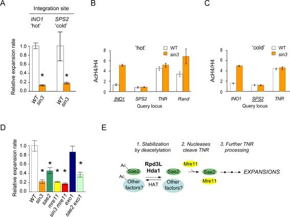 https://cdn.ncbi.nlm.nih.gov/pmc/blobs/45c4/3283555/c6accd8e352e/pbio.1001257.g003.jpg
