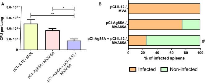 https://cdn.ncbi.nlm.nih.gov/pmc/blobs/45c5/7538621/4187aad89ca6/fcimb-10-581812-g0004.jpg