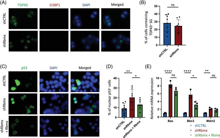 https://cdn.ncbi.nlm.nih.gov/pmc/blobs/45c7/11387721/d63040059881/MCO2-5-e712-g005.jpg