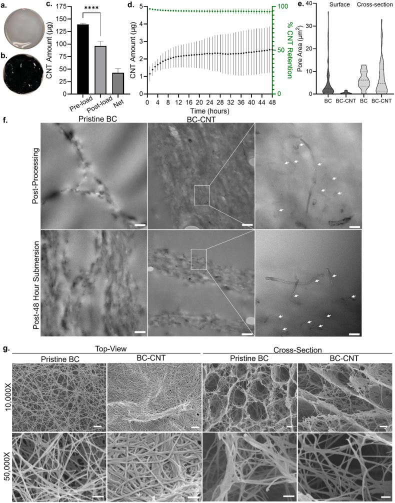 https://cdn.ncbi.nlm.nih.gov/pmc/blobs/45c7/12312064/e55443ddb326/gr2.jpg