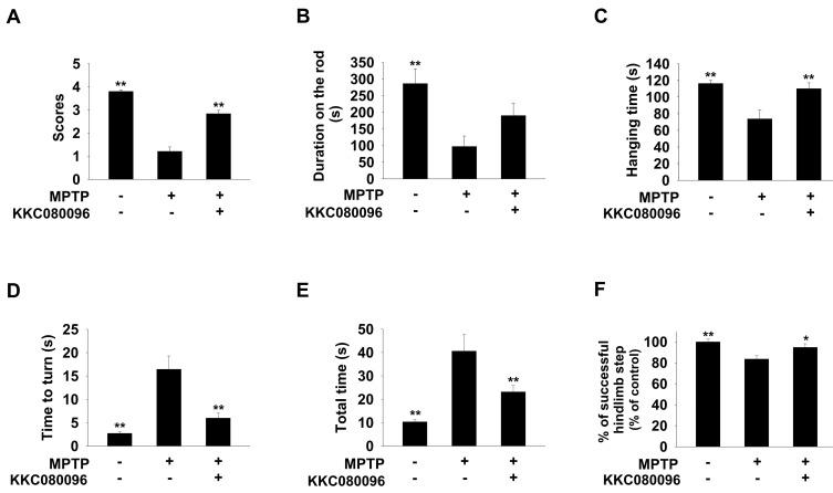 https://cdn.ncbi.nlm.nih.gov/pmc/blobs/45c7/8926863/09a36211cc34/molce-45-3-134-f4.jpg