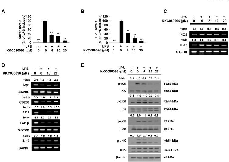 https://cdn.ncbi.nlm.nih.gov/pmc/blobs/45c7/8926863/d754af792252/molce-45-3-134-f2.jpg